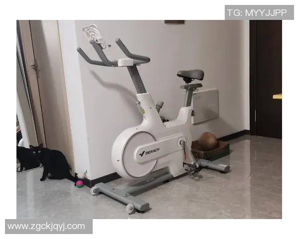 练手的健身器材：初学者适用的练手健身器材推荐